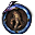 5x Drachengottitems