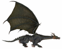 Drache Beran-Setaou