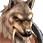Lykaner